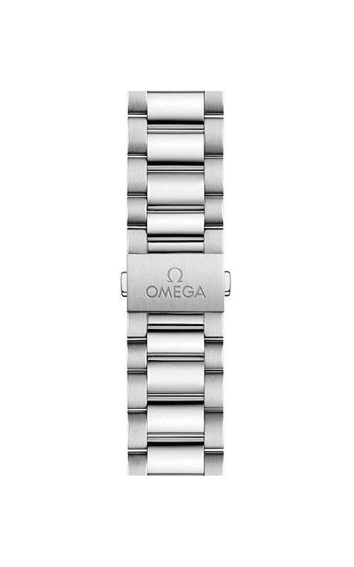 Omega 220.10.38.20.10.003 Aquaterra Watches