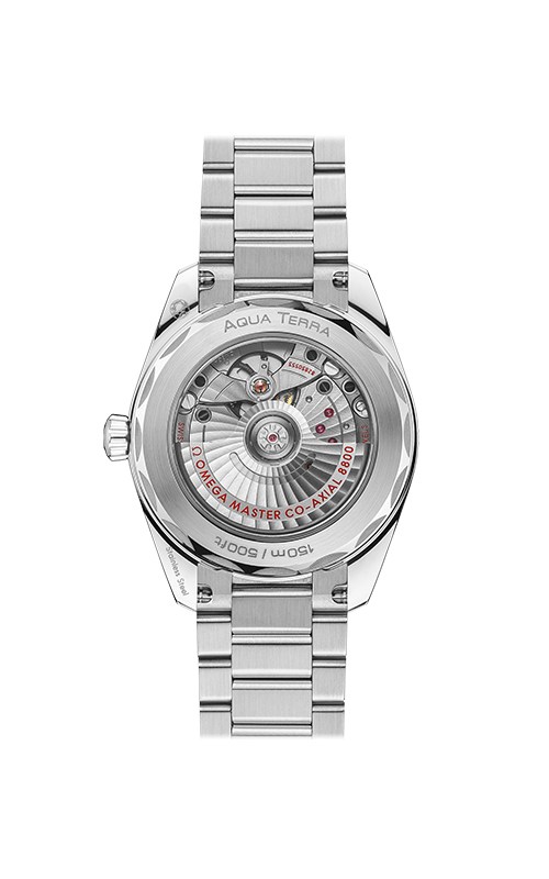 Omega 220.10.38.20.12.001 Aquaterra Watches