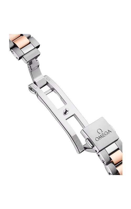 Omega 220.20.30.20.63.001 Watches