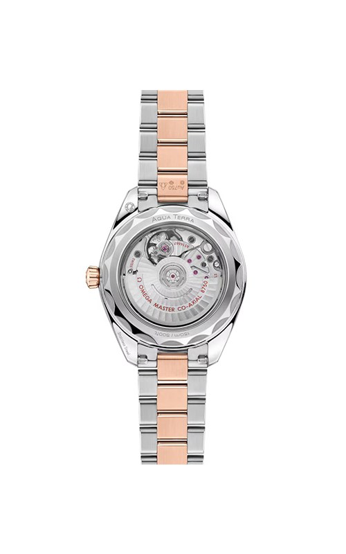 Omega 220.20.30.20.63.001 Watches