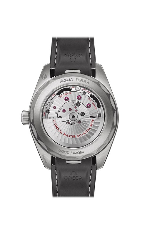 Omega 220.92.43.22.99.001 Aquaterra Watches