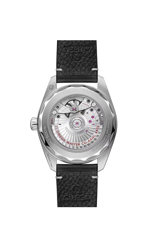 Omega 235.12.38.20.06.001 Railmaster Watches