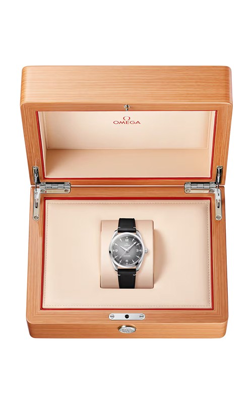 Omega 235.12.38.20.06.001 Railmaster Watches