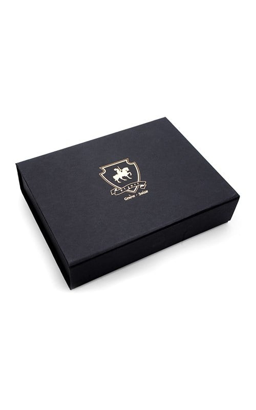 Piguet PGTSVDLXF Classic Fountain Pen Pens