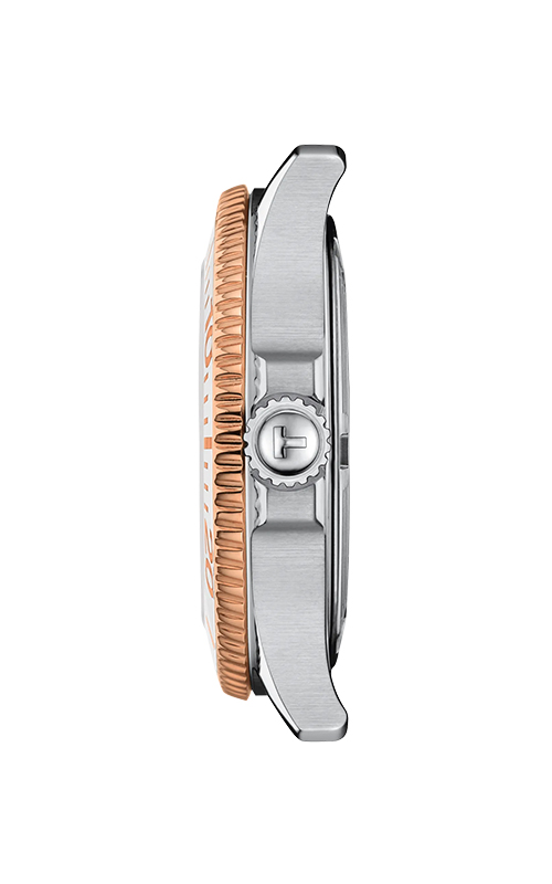 Tissot T1202102211100 Seastar 1000 Watches