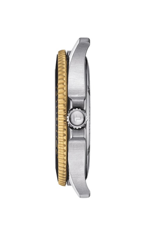 Tissot T1204102205100 Seastar 1000 Watches