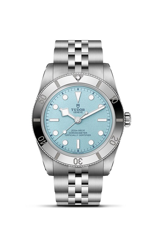 Tudor M79000-0001 Black Bay 54 Watches