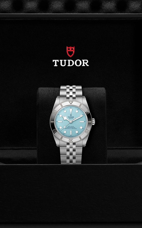 Tudor M79000-0001 Black Bay 54 Watches