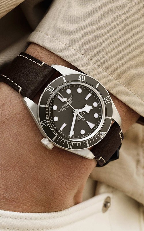 Tudor M79010SG-0001 Black Bay 58 Watches