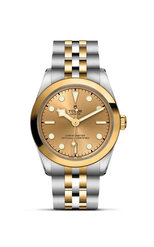 Tudor M79603-0005 Black Bay 31 Watches