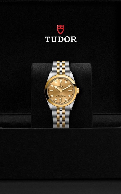 Tudor M79603-0005 Black Bay 31 Watches