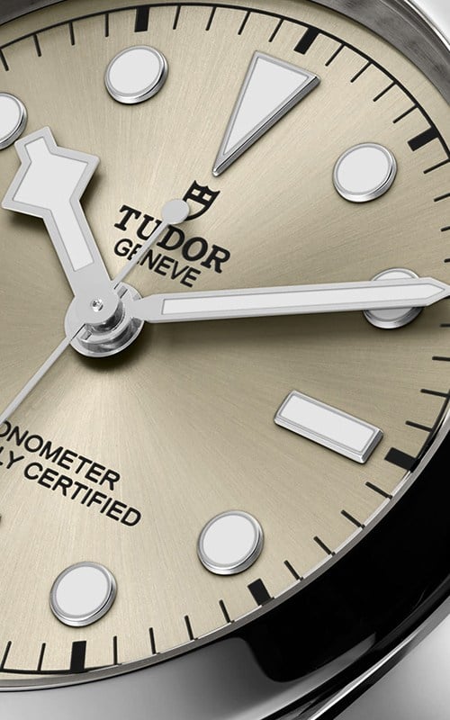 Tudor M79660-0003 Black Bay Watches