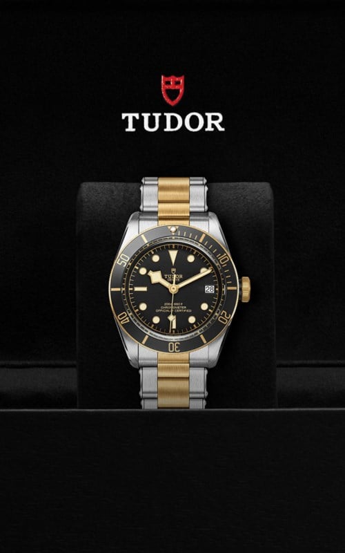 Tudor M79733N-0008 Black Bay Watches