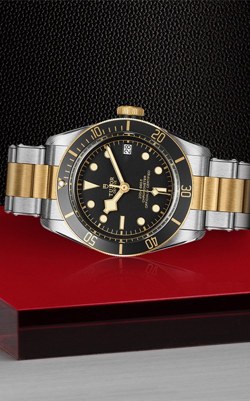Tudor M79733N-0008 Black Bay Watches