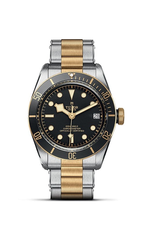 Tudor M79733N-0008 Black Bay Watches