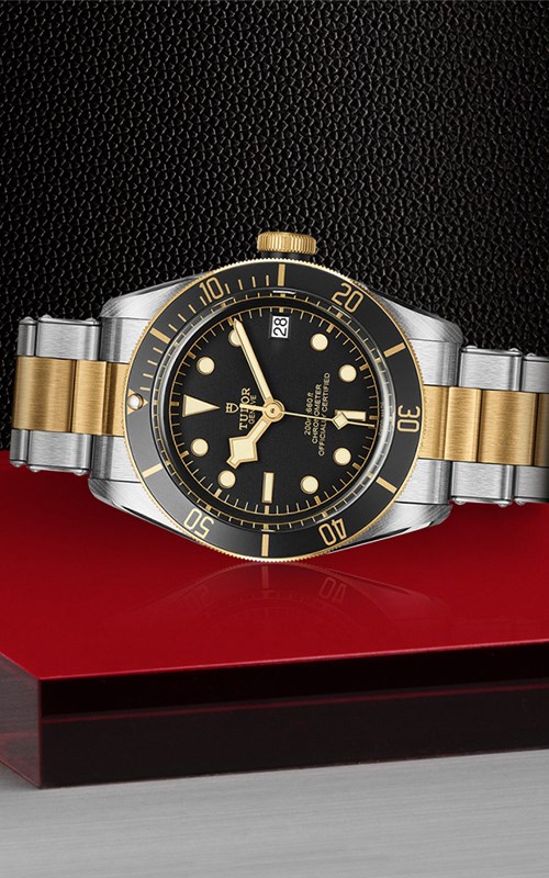 Tudor M79733N-0008 Black Bay Watches