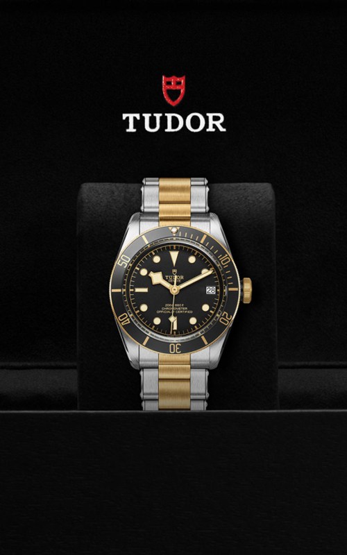 Tudor M79733N-0008 Black Bay Watches