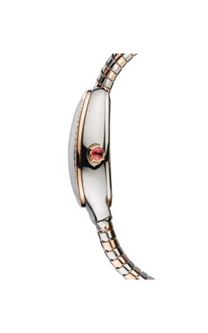 Bvlgari 103150 Serpenti Tubogas Watches