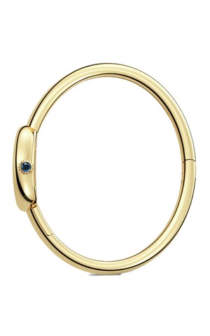 Cartier WGBA0021 Baignoire Watches