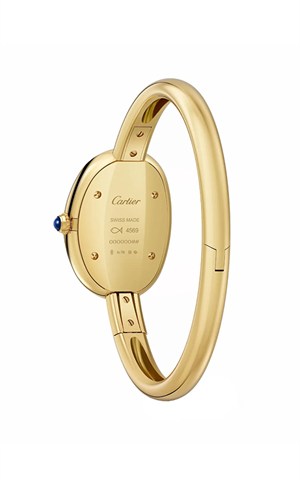 Cartier WGBA0025 Baignoire Watches