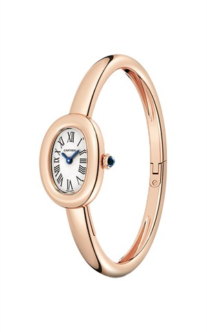 Cartier WGBA0048 Baignoire Watches