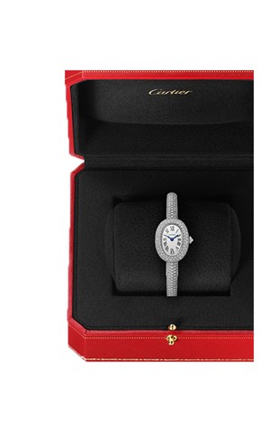 Cartier HPI01854 Baignoire Watches
