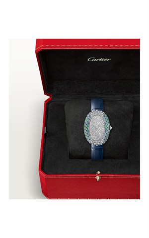 Cartier WJBA0060 Baignoire Watches