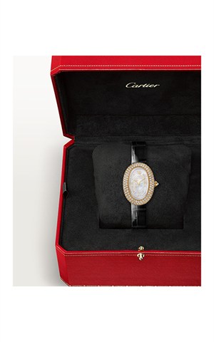 Cartier WJBA0043 Baignoire Watches