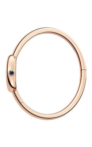 Cartier WGBA0051 Baignoire Watches
