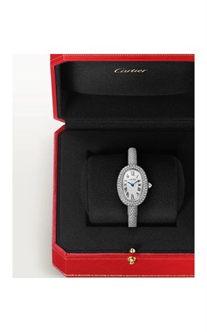 Cartier HPI01701 Baignoire Watches