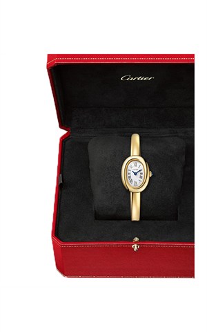 Cartier WGBA0079 Baignoire Watches