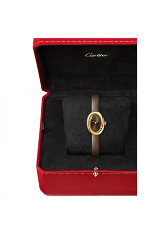 Cartier WGBA0031 Baignoire Watches