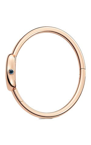 Cartier WGBA0047 Baignoire Watches