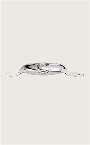 Cartier W4BB0021 Ballon Bleu Watches
