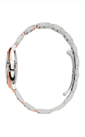 Cartier W2BB0032 Ballon Bleu Watches