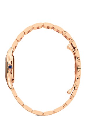 Cartier WGPN0006 Panthere Watches