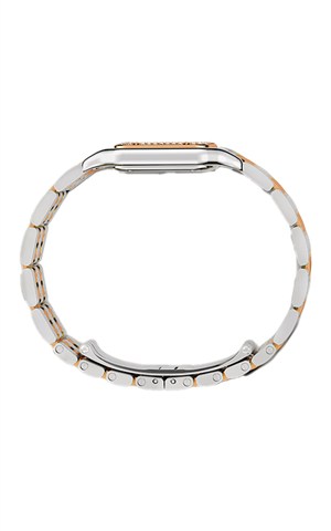 Cartier Panthere