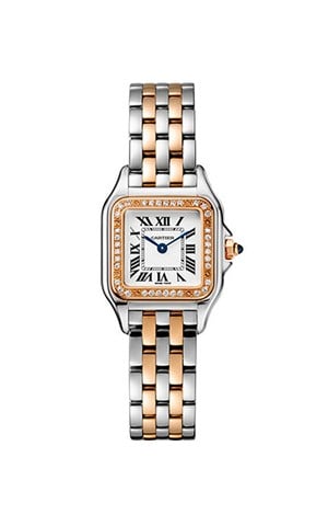 Cartier Panthere