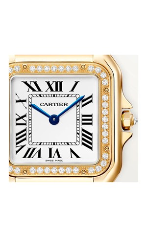 Cartier Panthere