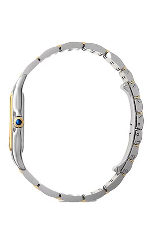 Cartier Panthere