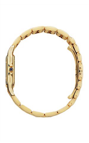Cartier Panthere