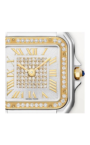 Cartier Panthere