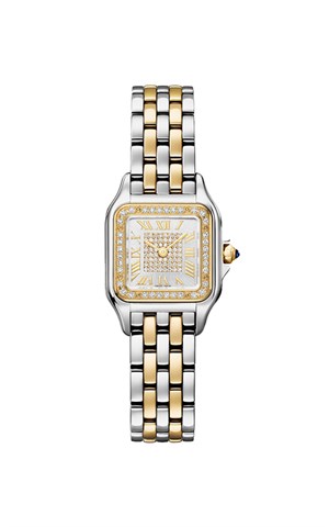 Cartier Panthere