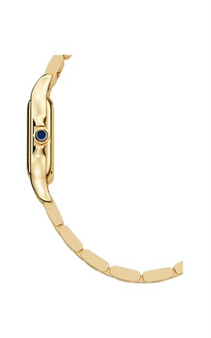 Cartier Panthere