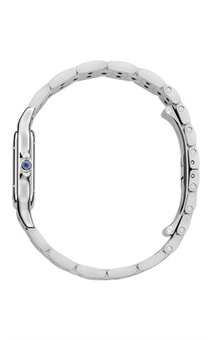 Cartier Panthere