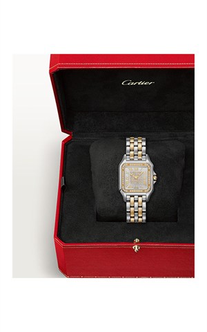 Cartier Panthere