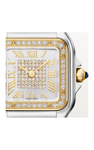 Cartier Panthere