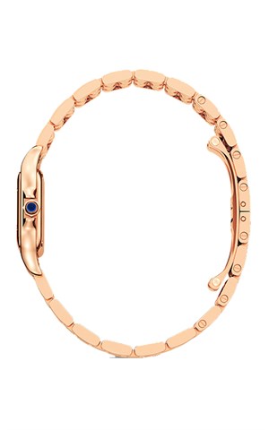Cartier Panthere