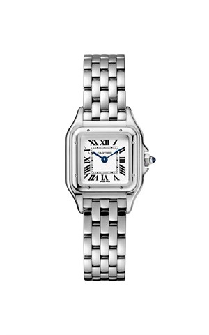 Cartier Panthere