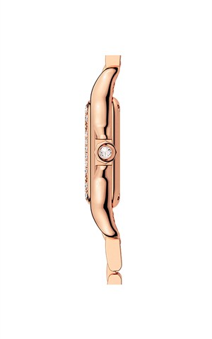 Cartier WJPN0049 Panthere Watches